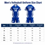 Custom designed volleyball teamwear